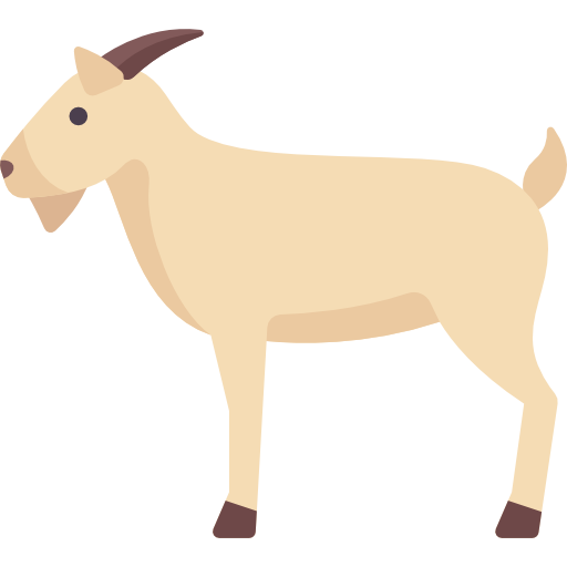 goat